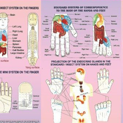 acupuncture